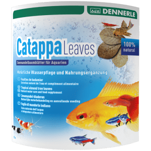 Dennerle Catappa Leaves