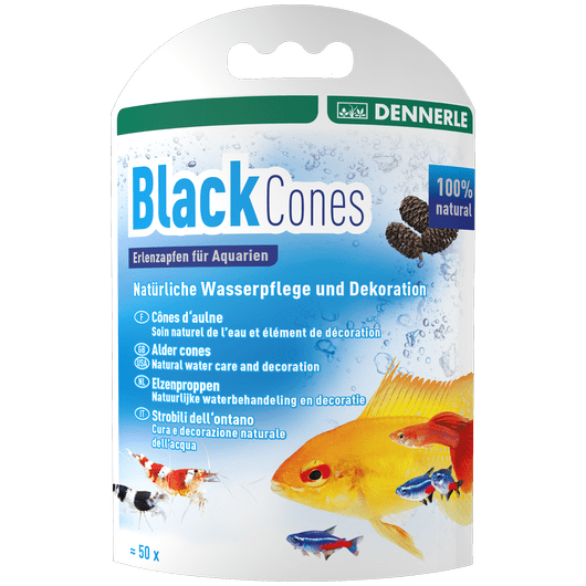 Dennerle Black Cones