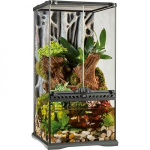 Exo Terra Terraario/Paludarium
