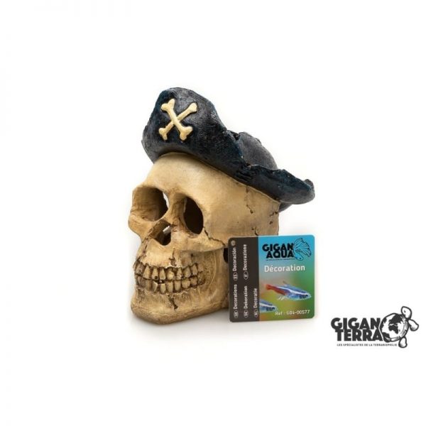 Giganterra Pirate Skull