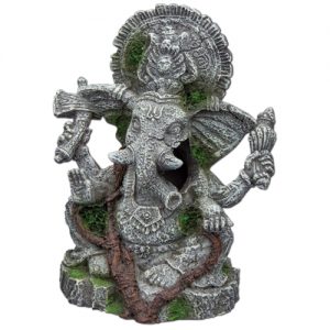Hobby Ganesha