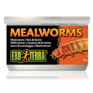 Exo Terra Mealworms - Säilötyt jauhomadot 34g